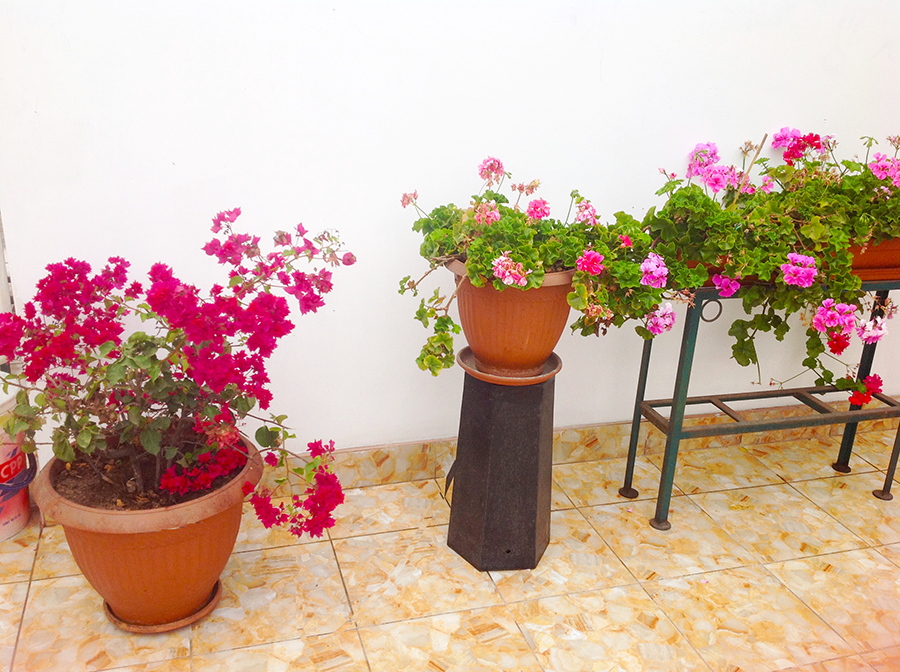 facilities in Casa Yllika