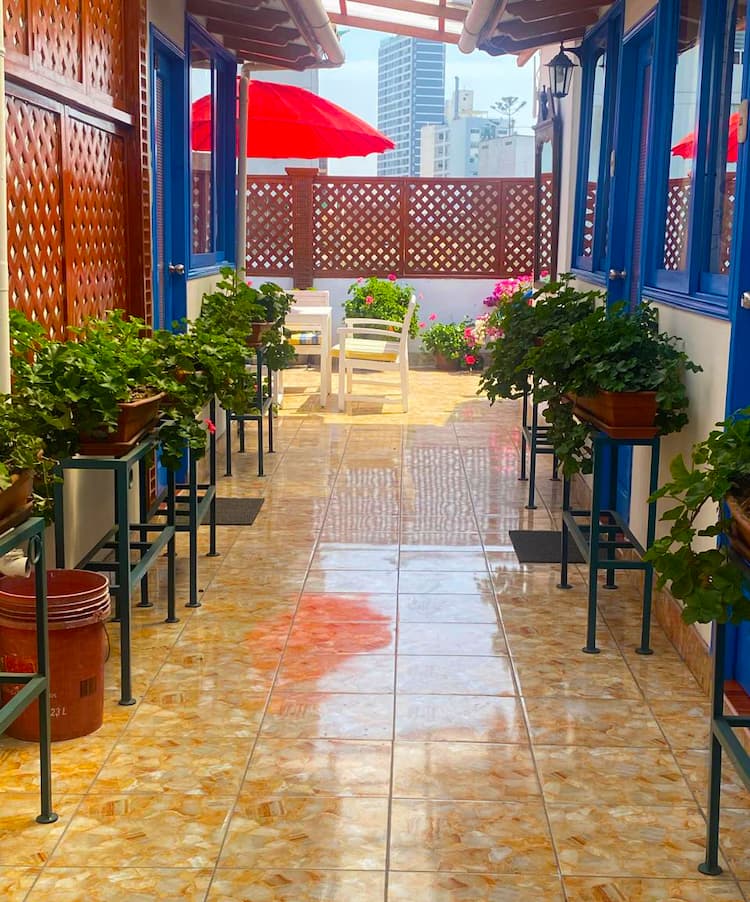 Beautiful plant-lined corridor leading to rooftop terrace at Casa Yllika student housing Jesus Maria Lima Peru