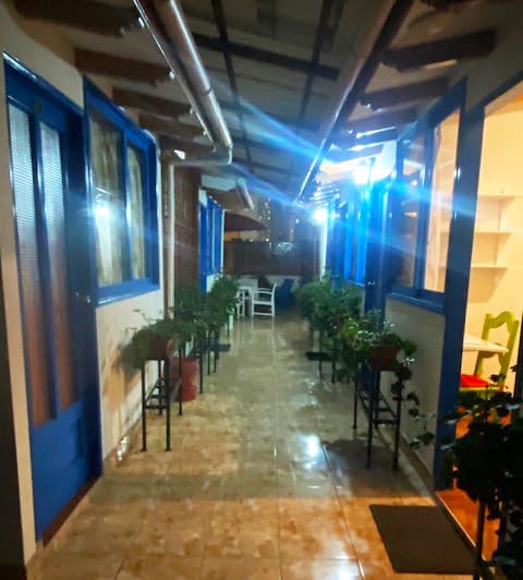 Indoor corridor with blue doors and plants at Casa Yllika student housing Jesus Maria Lima Peru